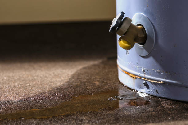 Best Fire Damage Restoration  in Strum, WI