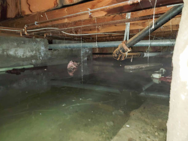Best Water damage restoration mold remediation  in Strum, WI