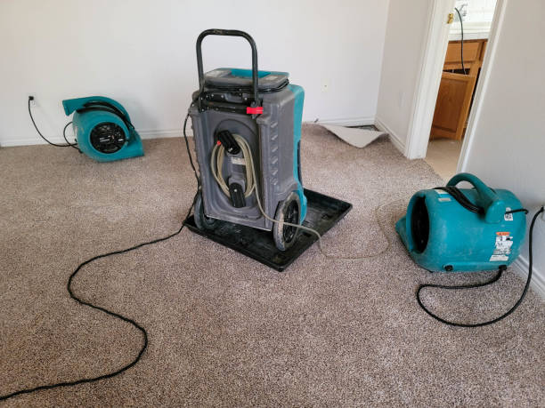 Trusted Strum, WI Water damage restoration Experts
