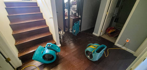  Strum, WI Water damage restoration Pros