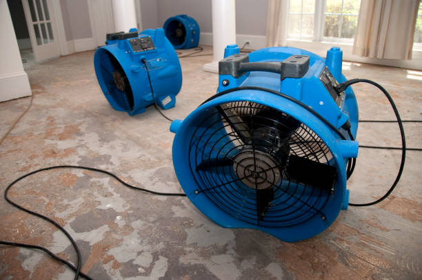 Best Ceiling water damage repair  in Strum, WI