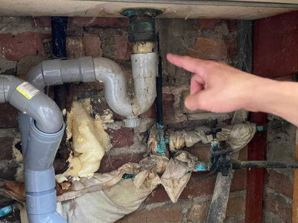 Reliable Strum, WI Water damage restoration Solutions